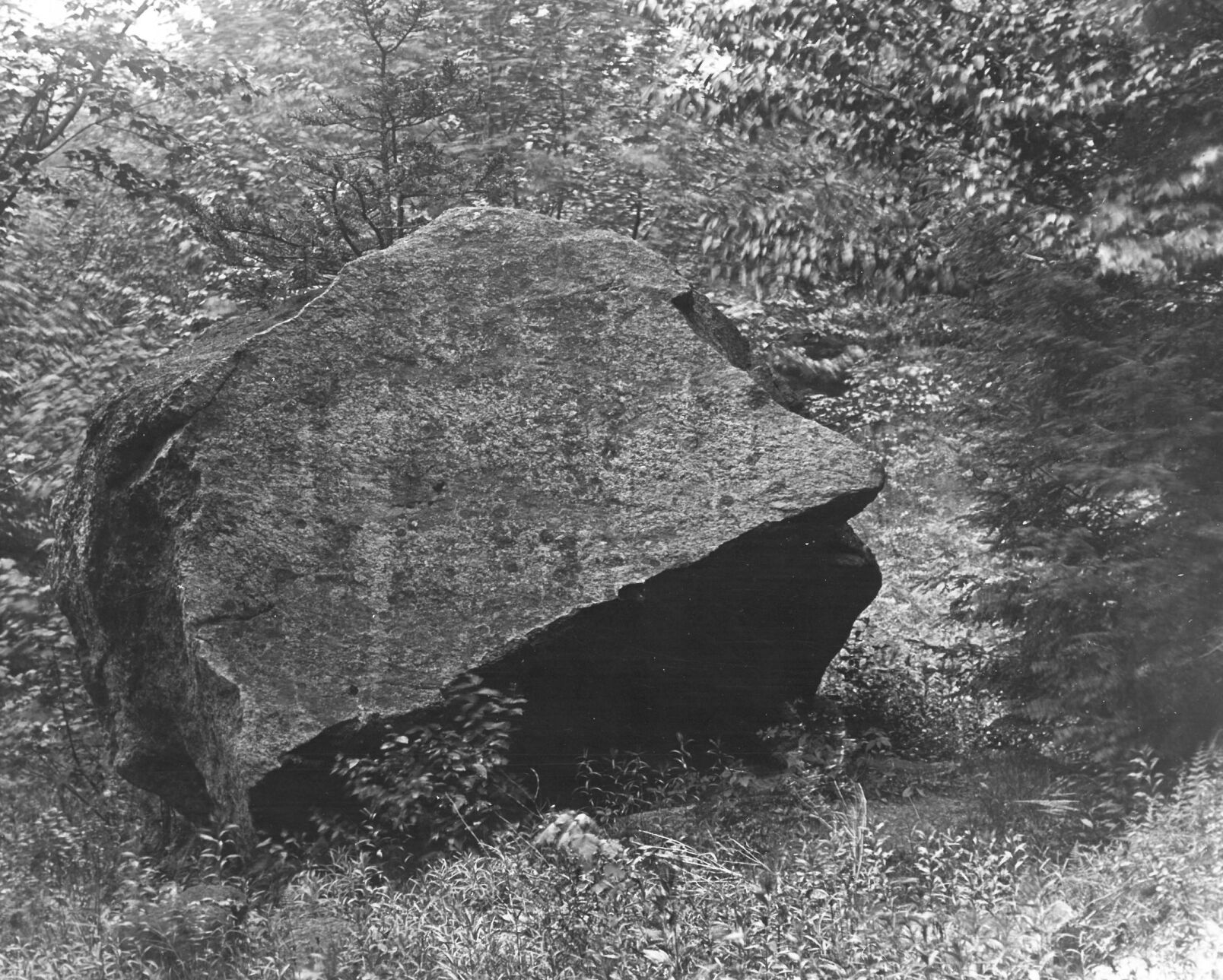 Savoy_21.jpg